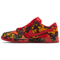 THE WIZARD OF OZ X NIKE SB DUNK LOW 'POPPY FIELD'